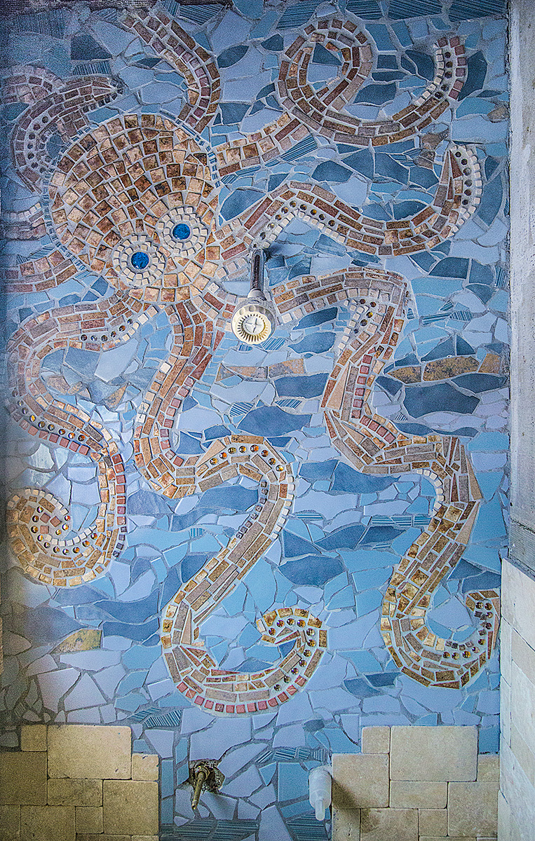 Octopus shower